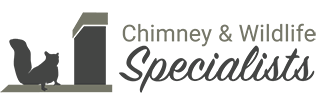 Logo for DFW Chimney Specialist
