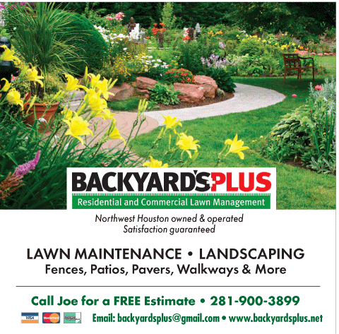 Avatar for Backyard's Plus Lawn Care & Landscaping