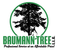 Avatar for Baumann Tree