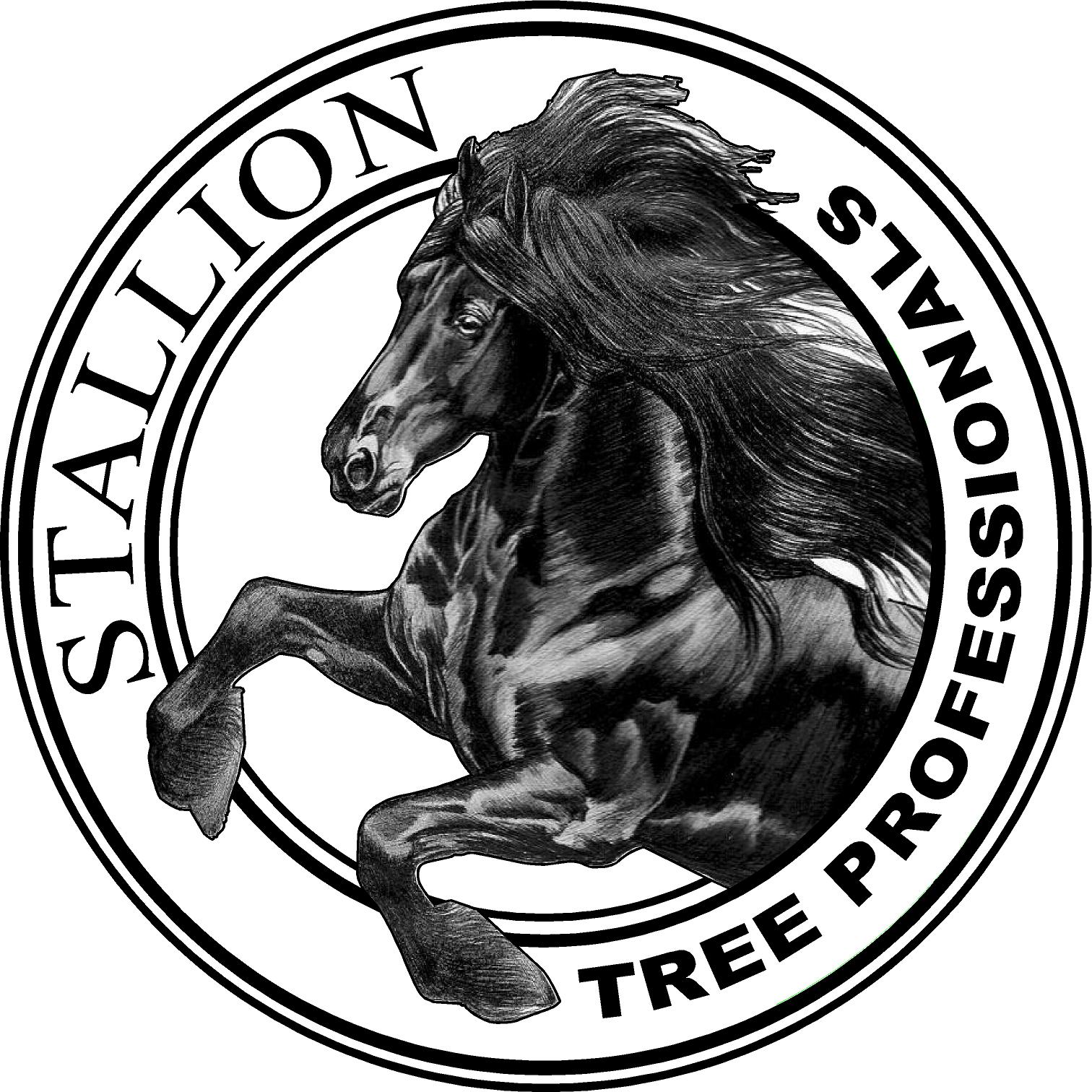 Avatar for Stallion Tree Professionals of CSRA, Inc.