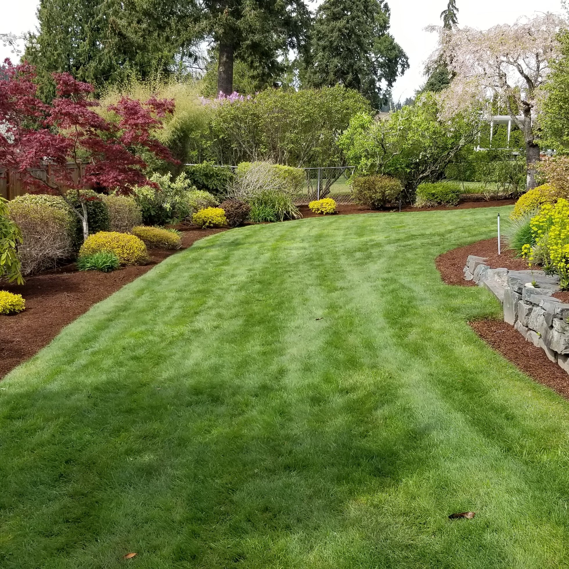 Avatar for Cervantes Maintenance