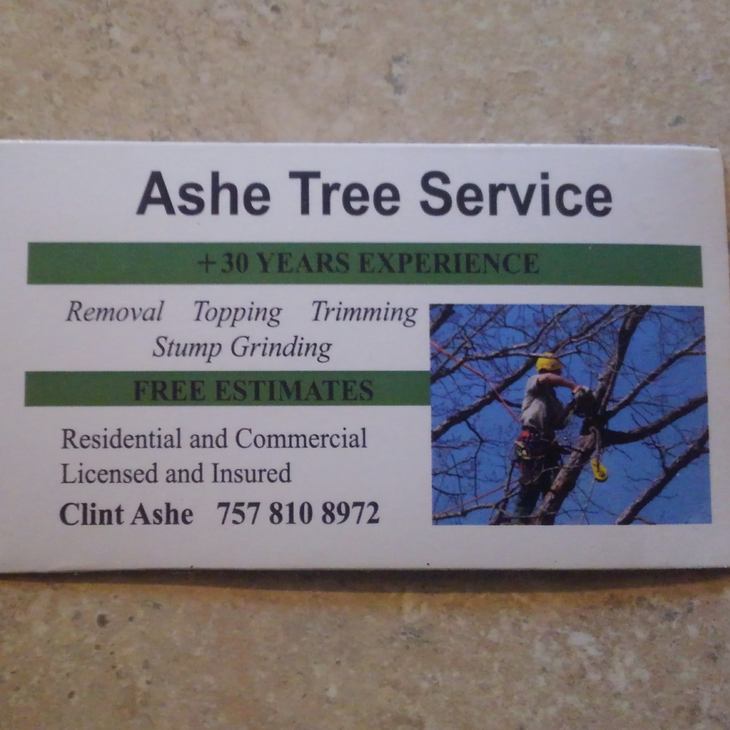 Avatar for Ashe Tree Removal & Stump Grinding