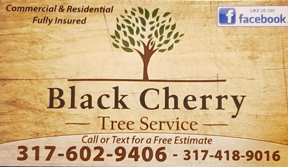 Logo for Black Cherry Tree Service