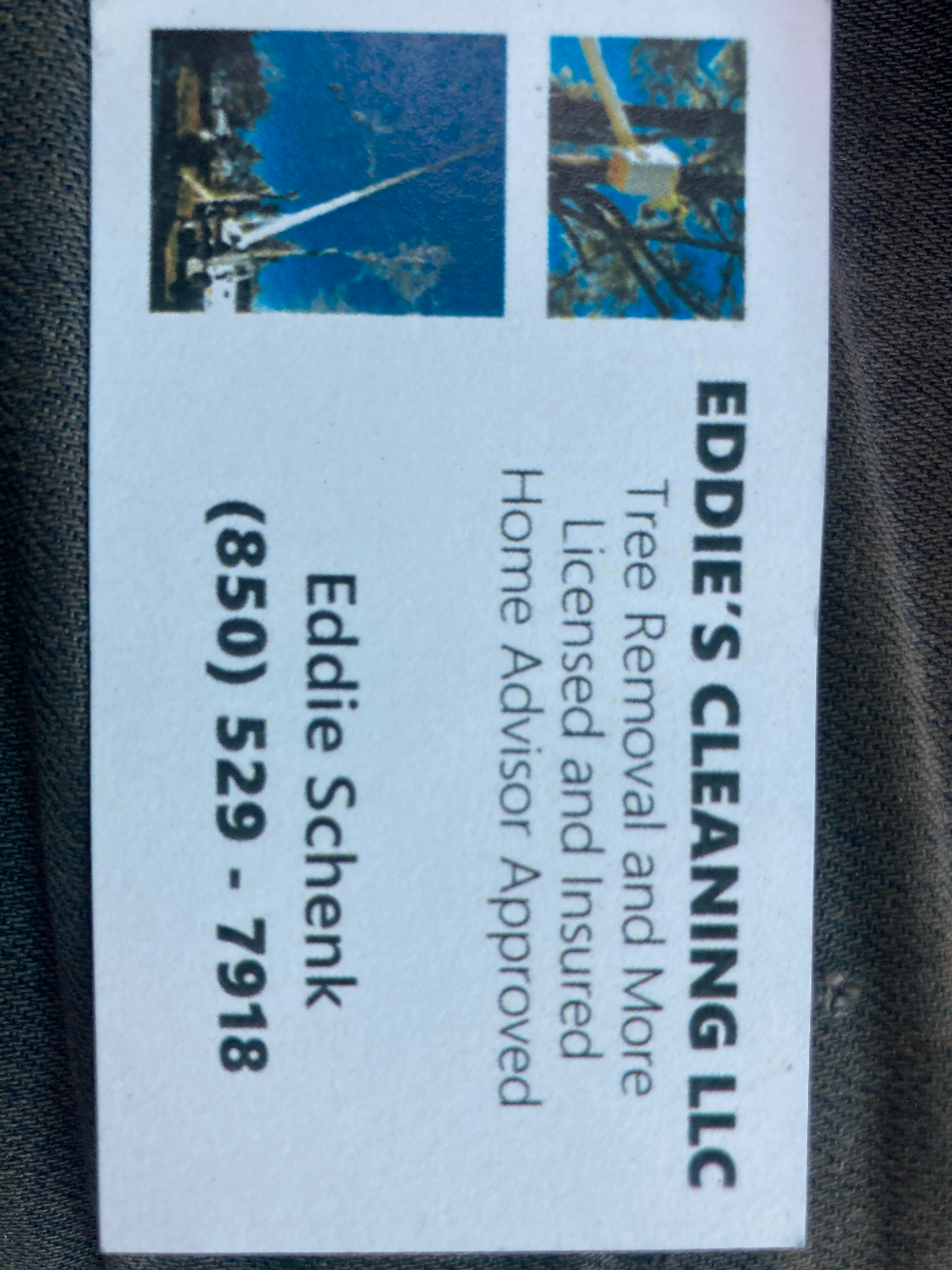 Logo for Eddie’s Tree Removal and More!