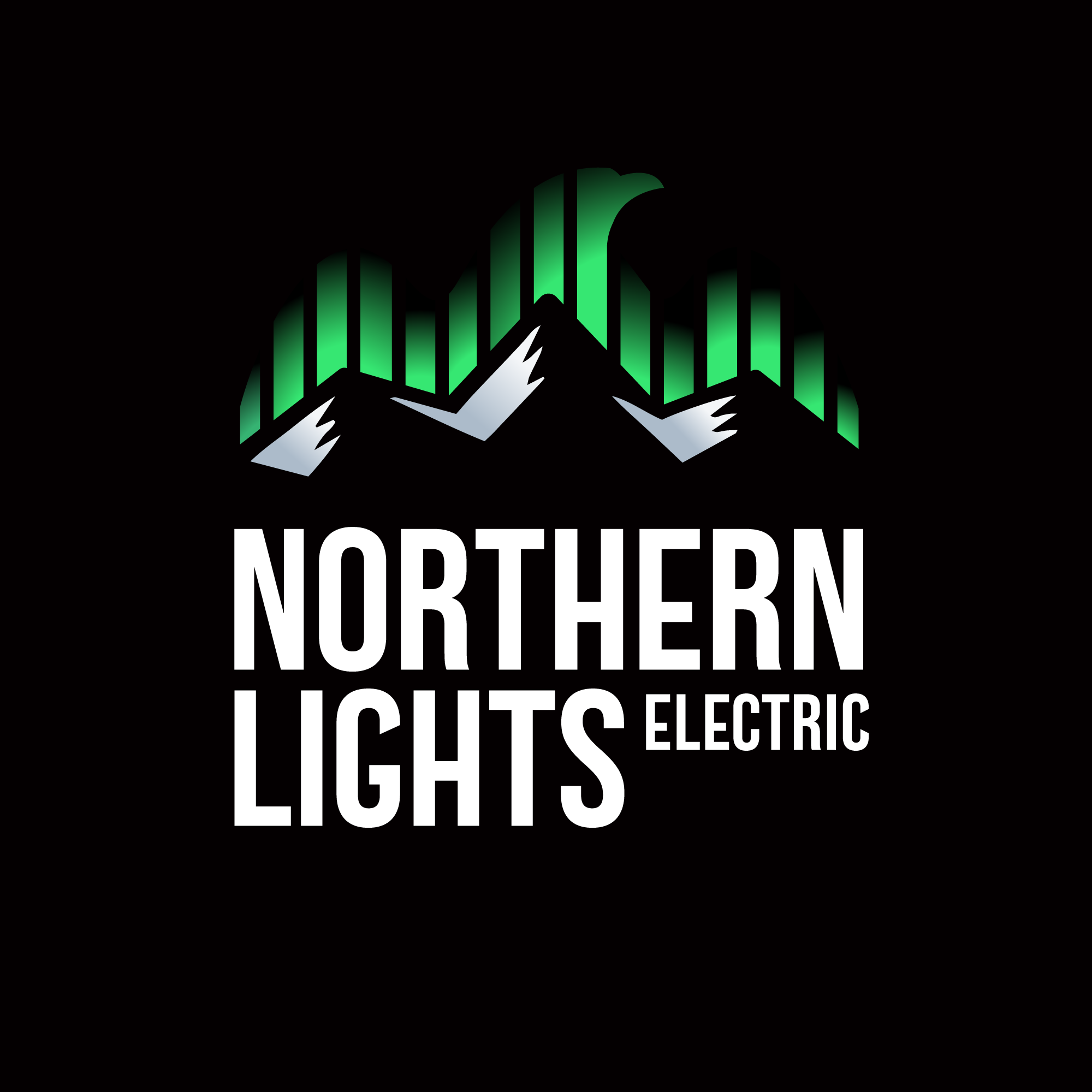 Avatar for Northern Lights Electric LLC