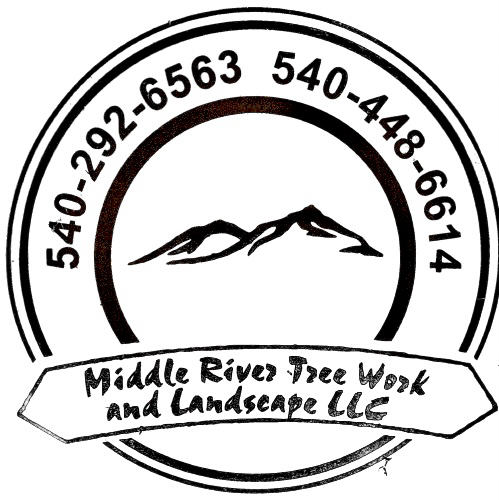 Avatar for Middle River Tree Work And Landscape