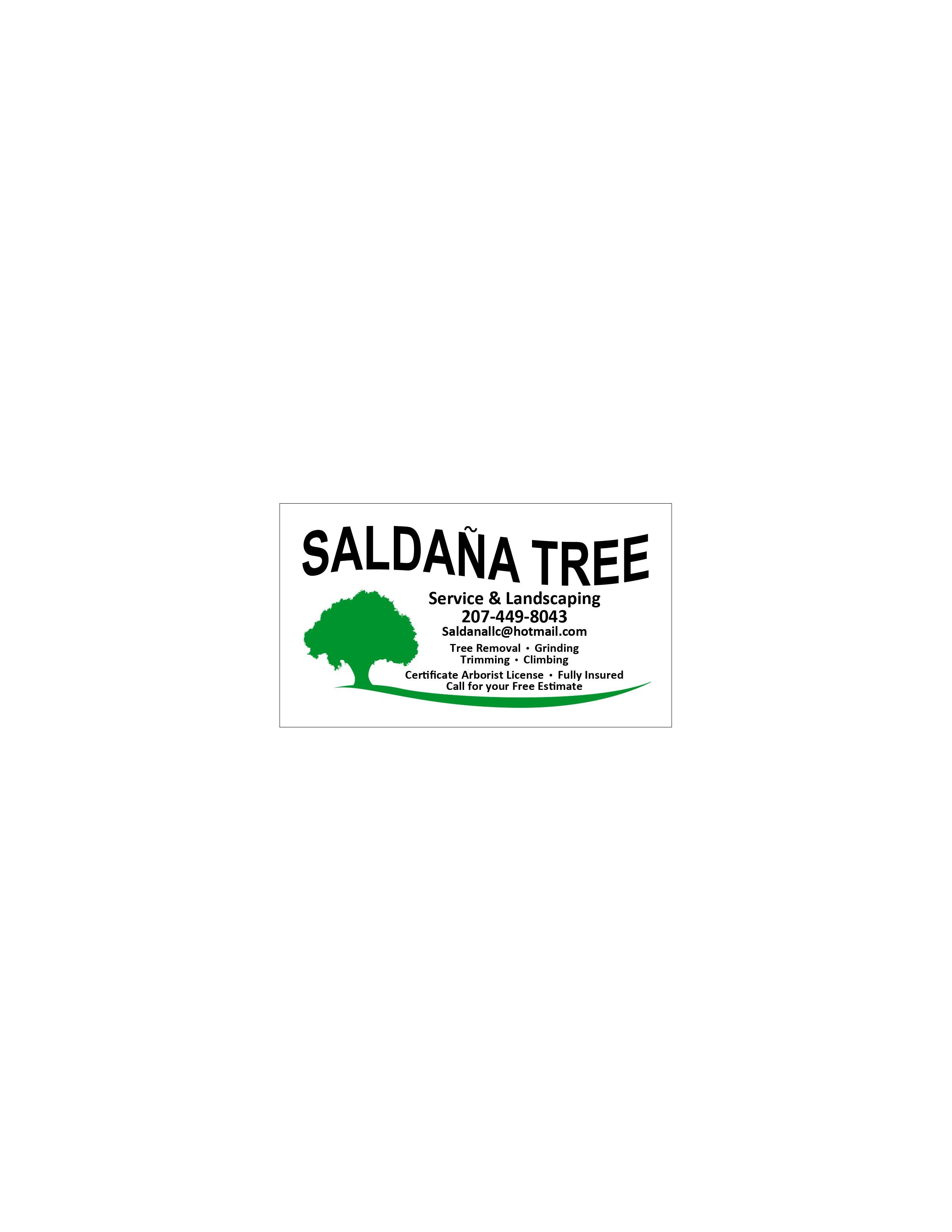 Avatar for Saldana Tree Services & Landscaping