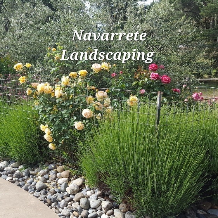 Avatar for Navarrete Landscaping