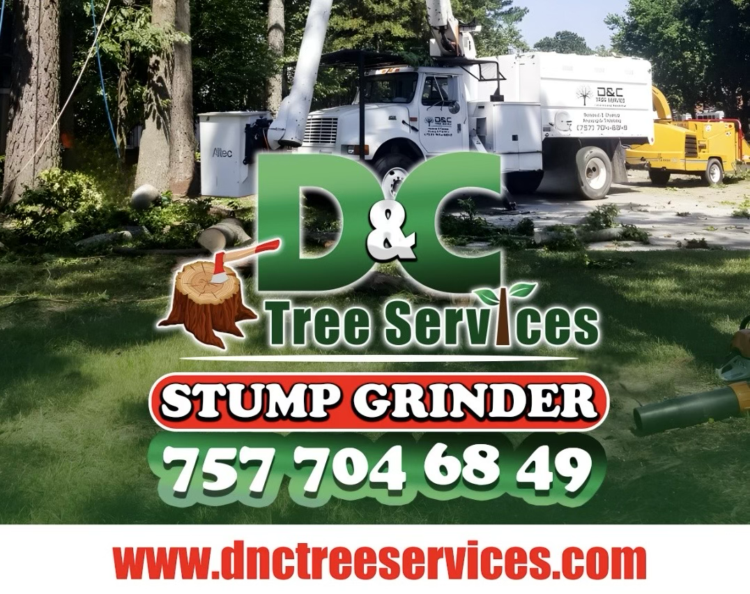 Avatar for D&C Tree Services
