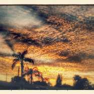 Avatar for True Love Property Maintenance Inc