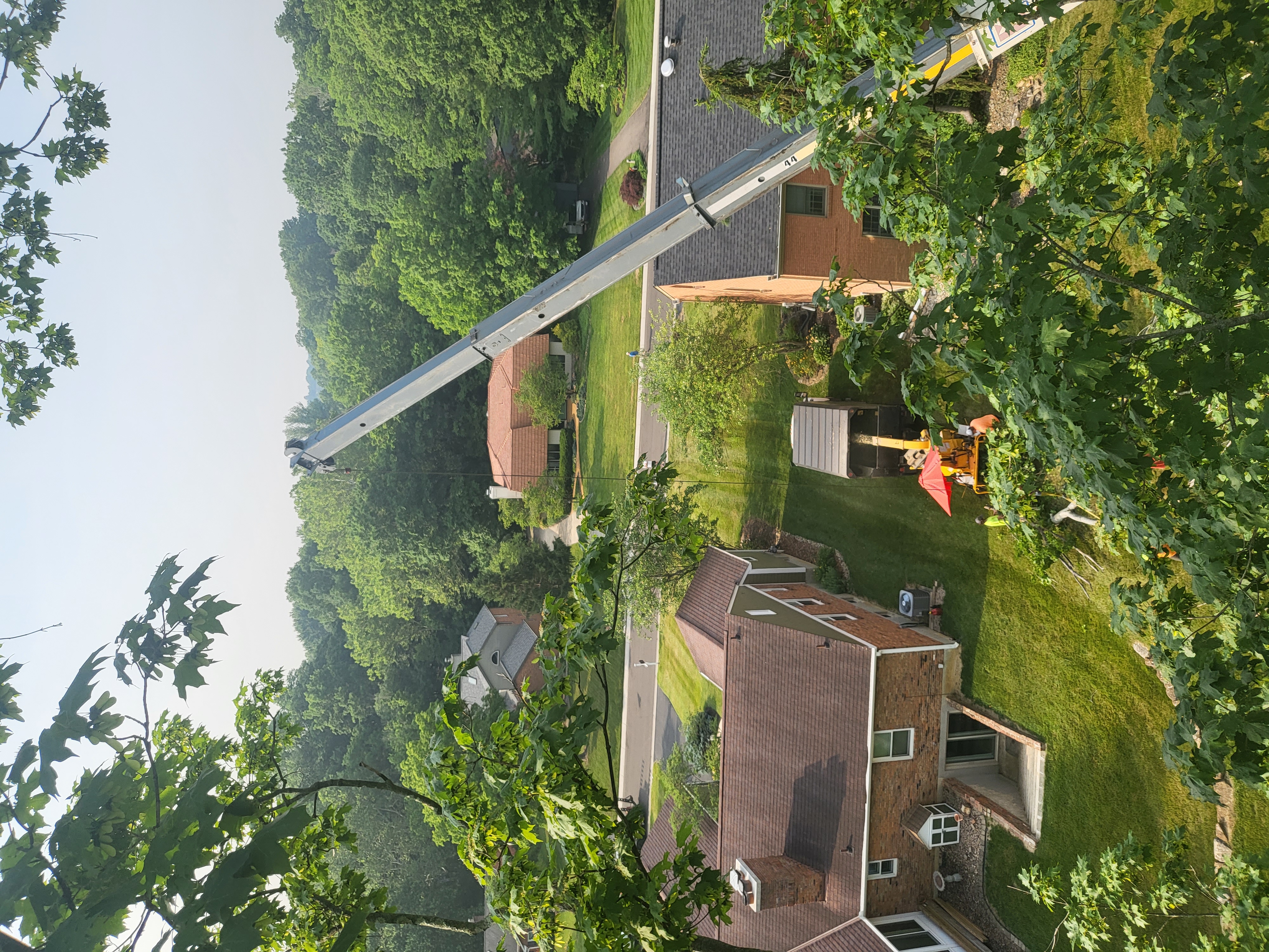 Avatar for Affordable Tree Services