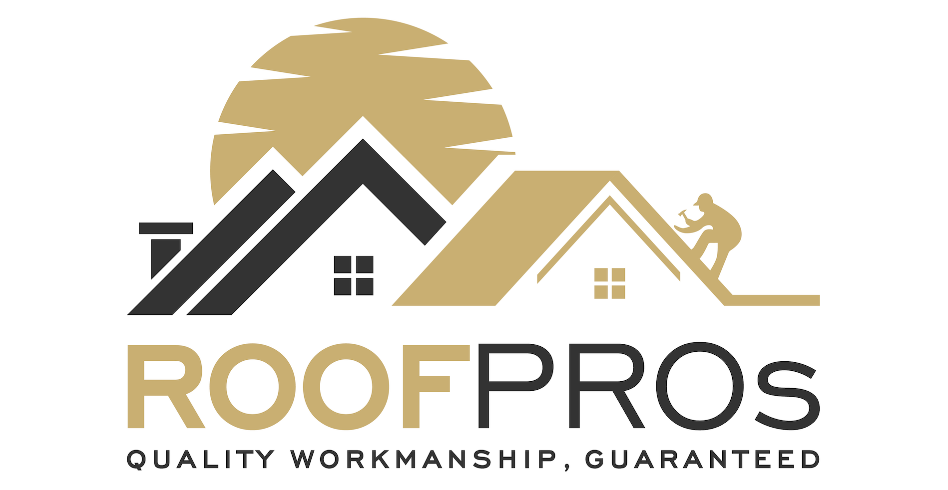 Avatar for ROOFPROs