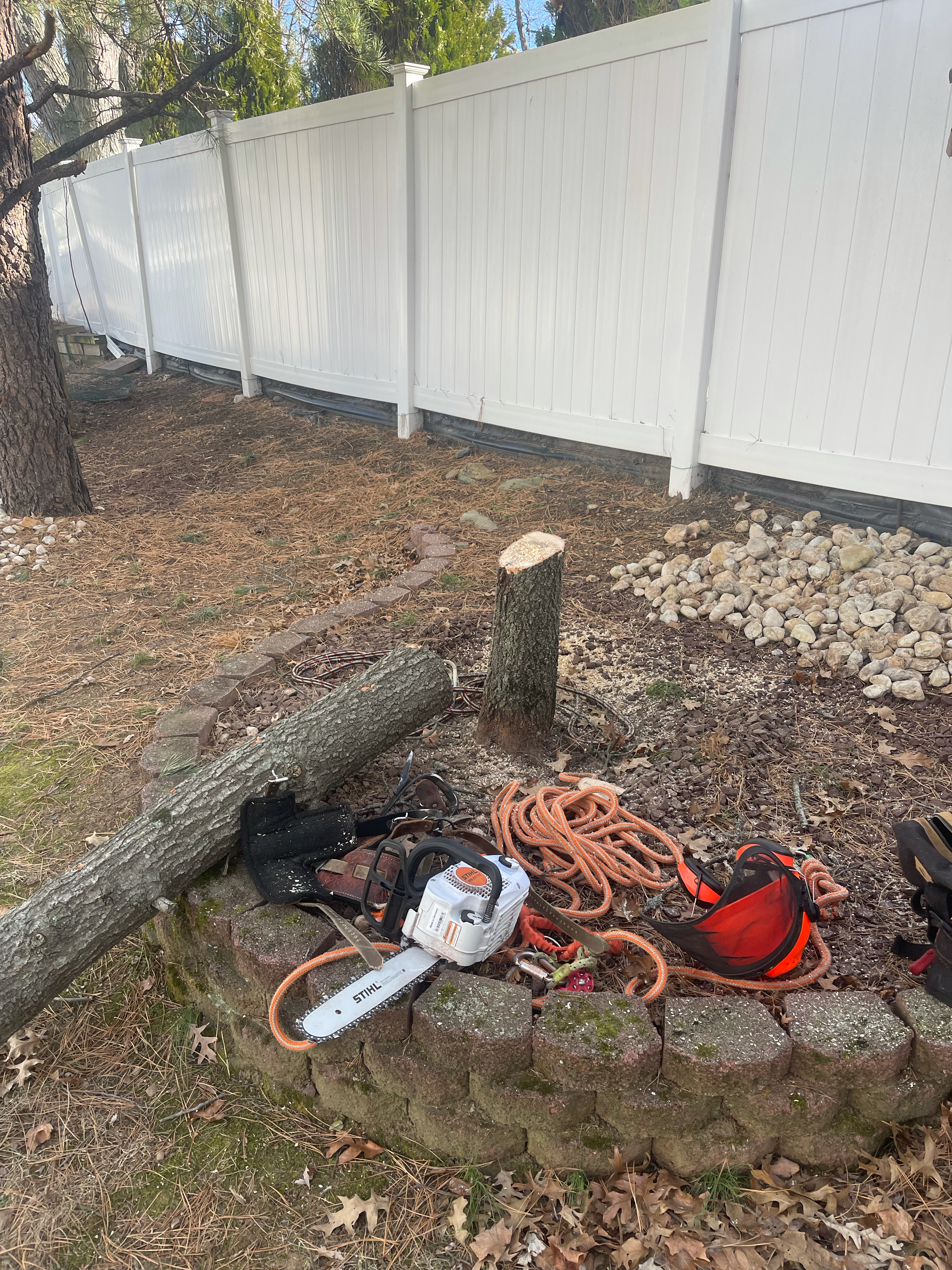 Avatar for Fresnos Tree Service LLC