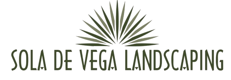 Avatar for Sola de Vega Landscaping