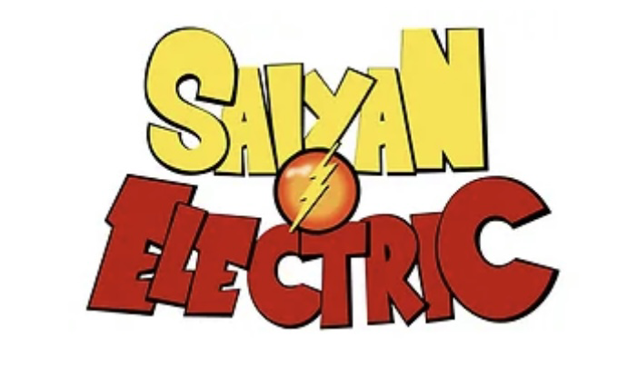 Avatar for Saiyan Electric Inc