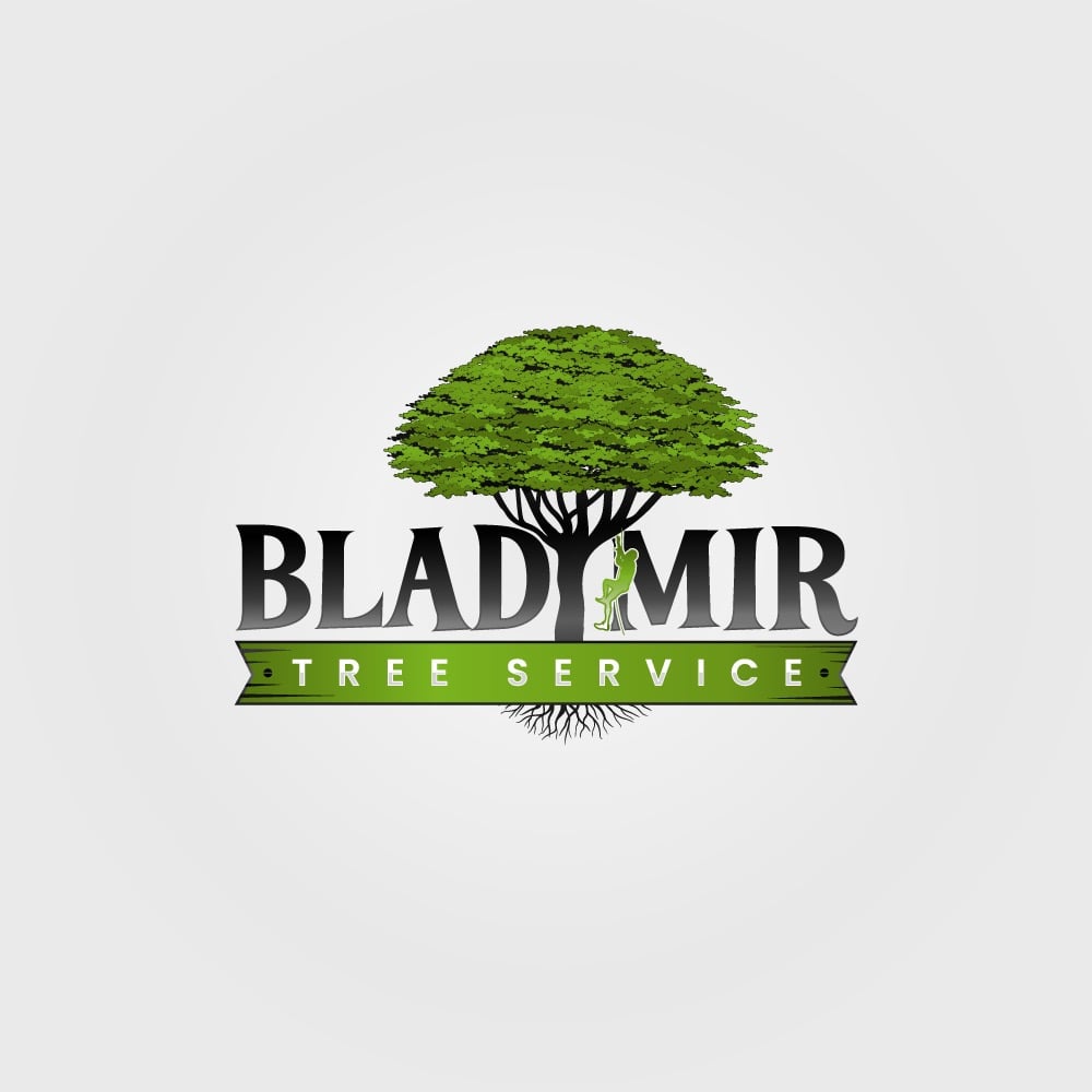 Avatar for BLADIMIR TREE SERVICE