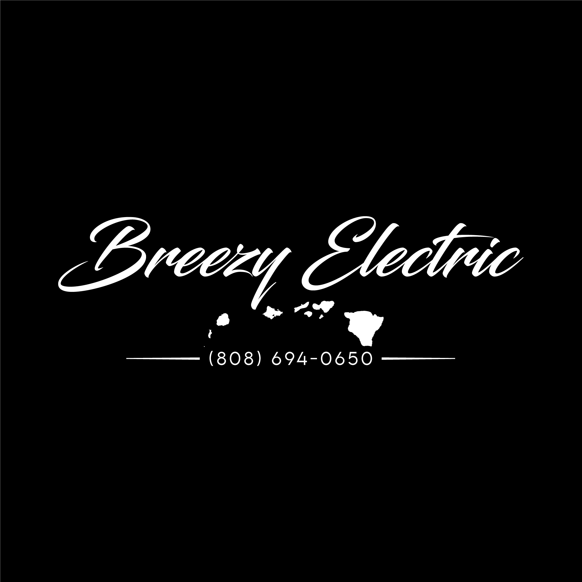 Logo for Breezy Electric
