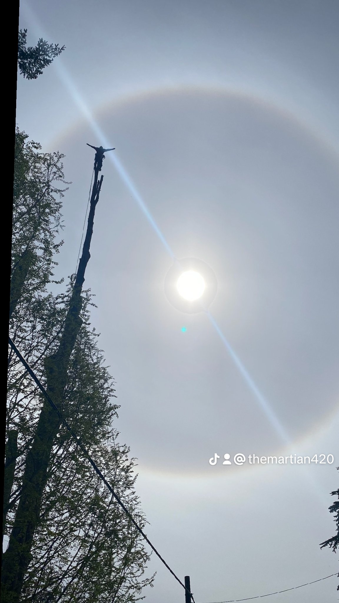 Avatar for Jon's Top Tree Service, LLC