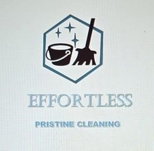 Avatar for Effortless Pristine Cleaning