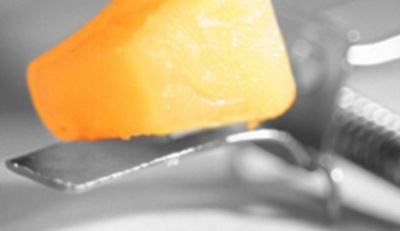 Avatar for Bug State Pest Control