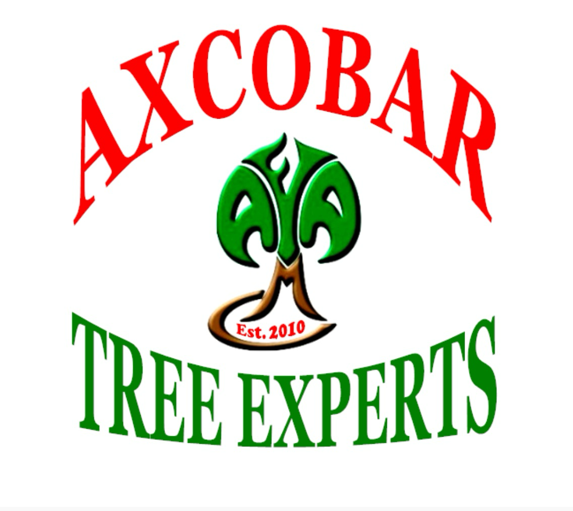 Avatar for Axcobar Tree Experts