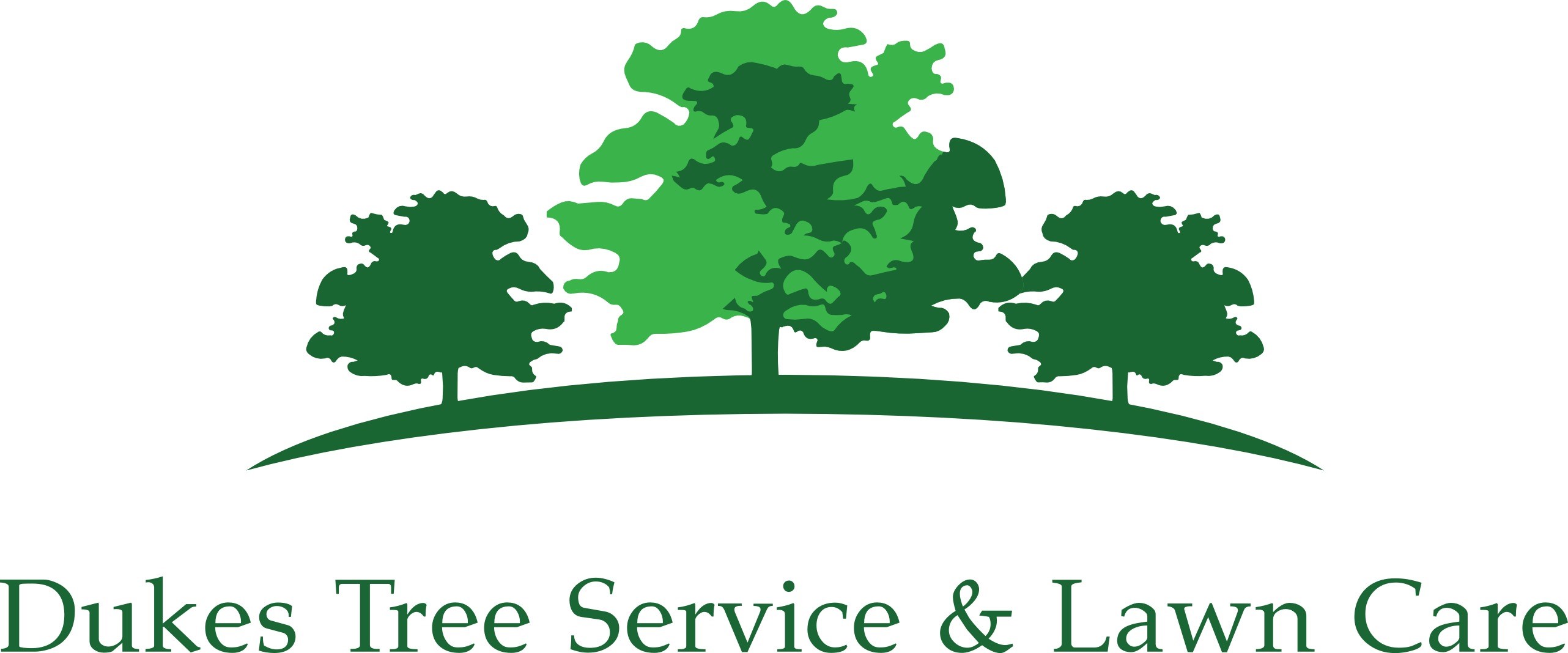 Logo for Dukes Waste Management & More