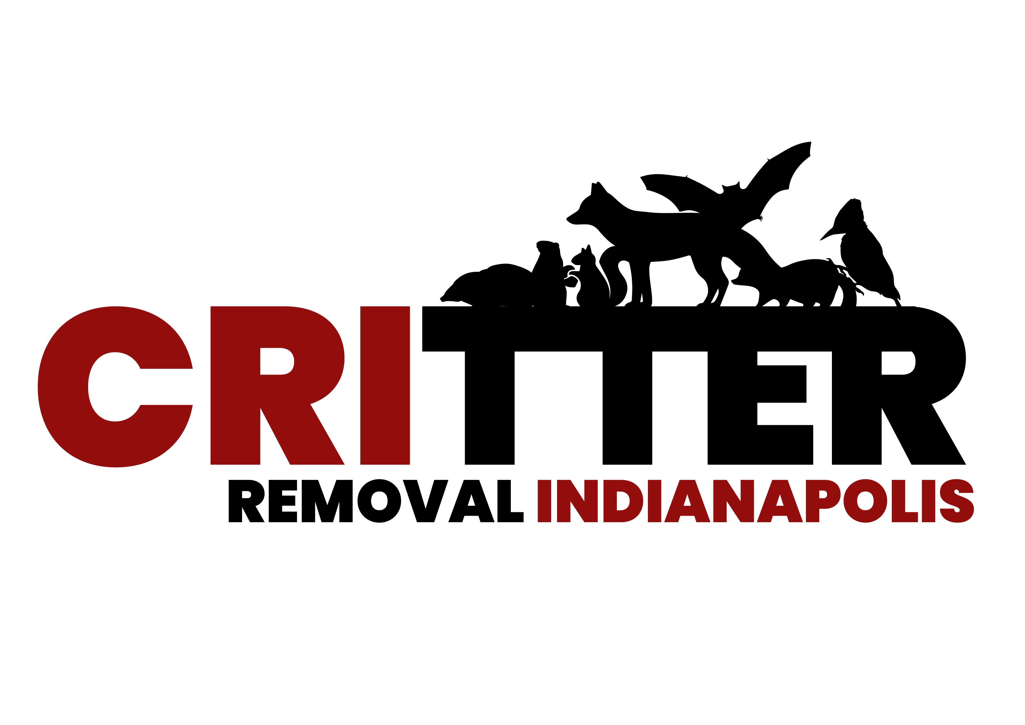 Avatar for Critter Removal Indianapolis