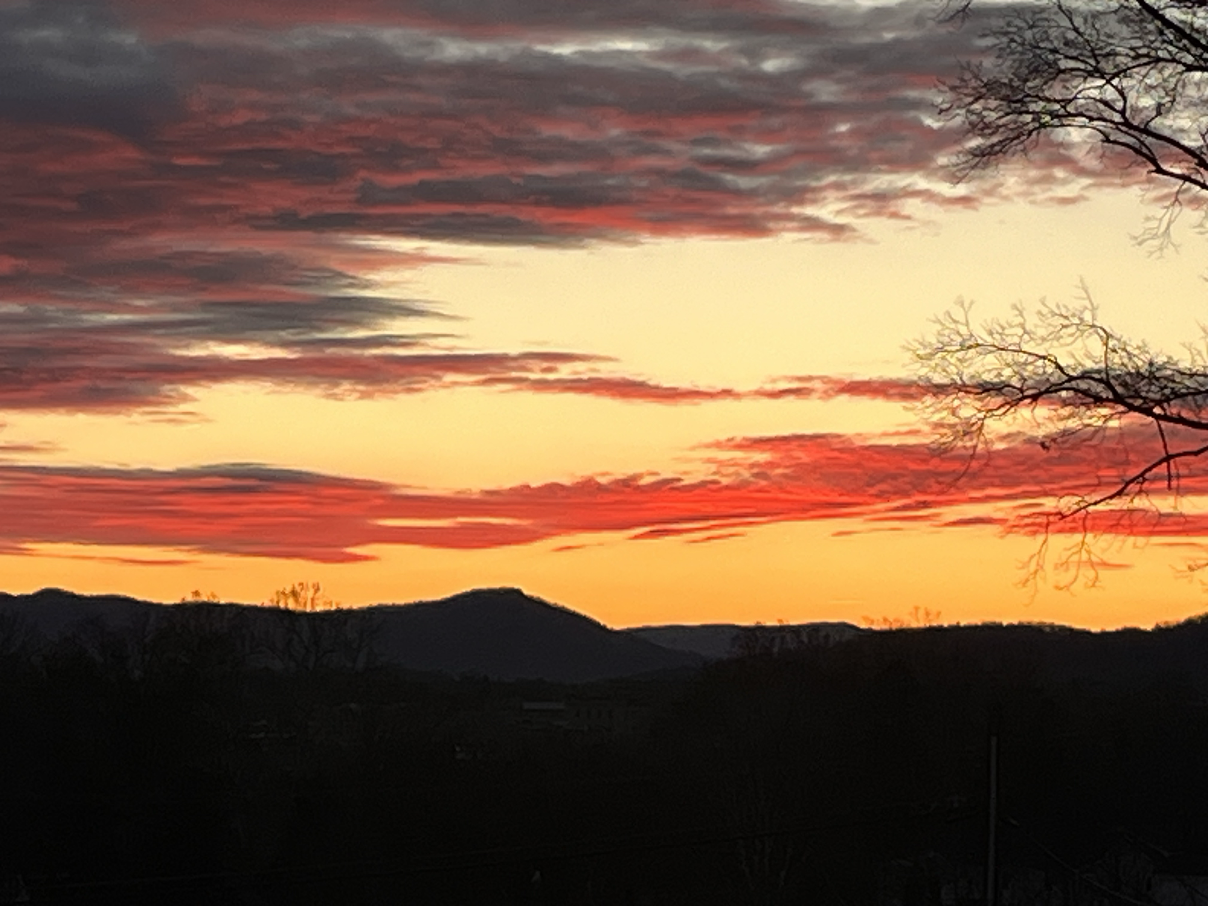 Avatar for B & B Landscaping