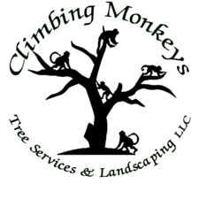 Logo for Climbing Monkeys Tree Services & Landscaping, LLC