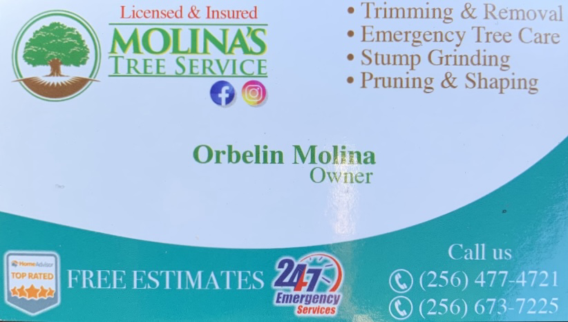 Avatar for Molina's Tree Service