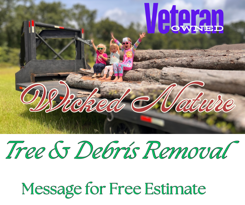 Logo for Wicked Nature LLC