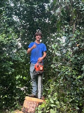 Avatar for Southern tree stylist