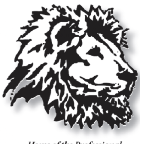 Logo for Mel Martin Windows LLC