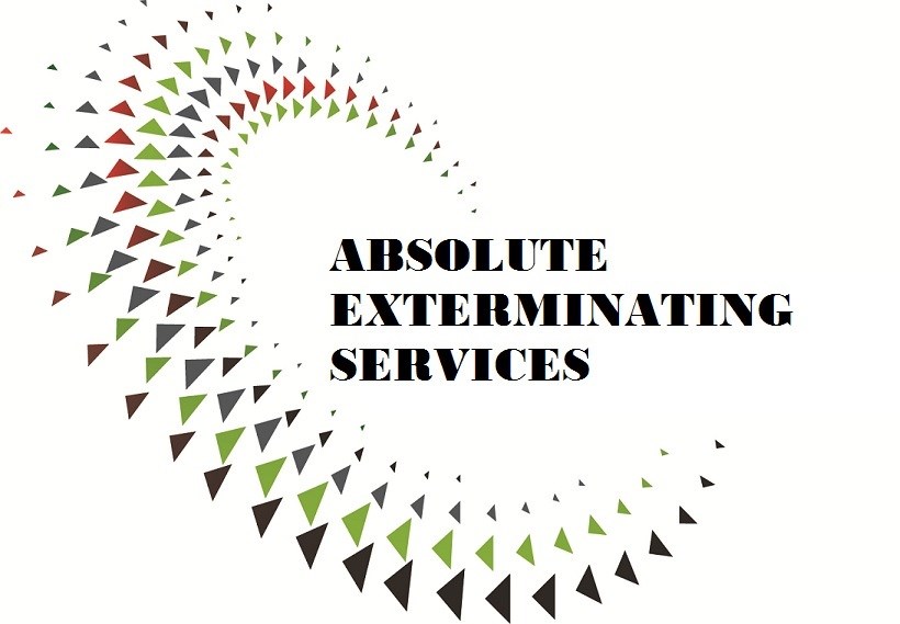 Avatar for Absolute Exterminating Services