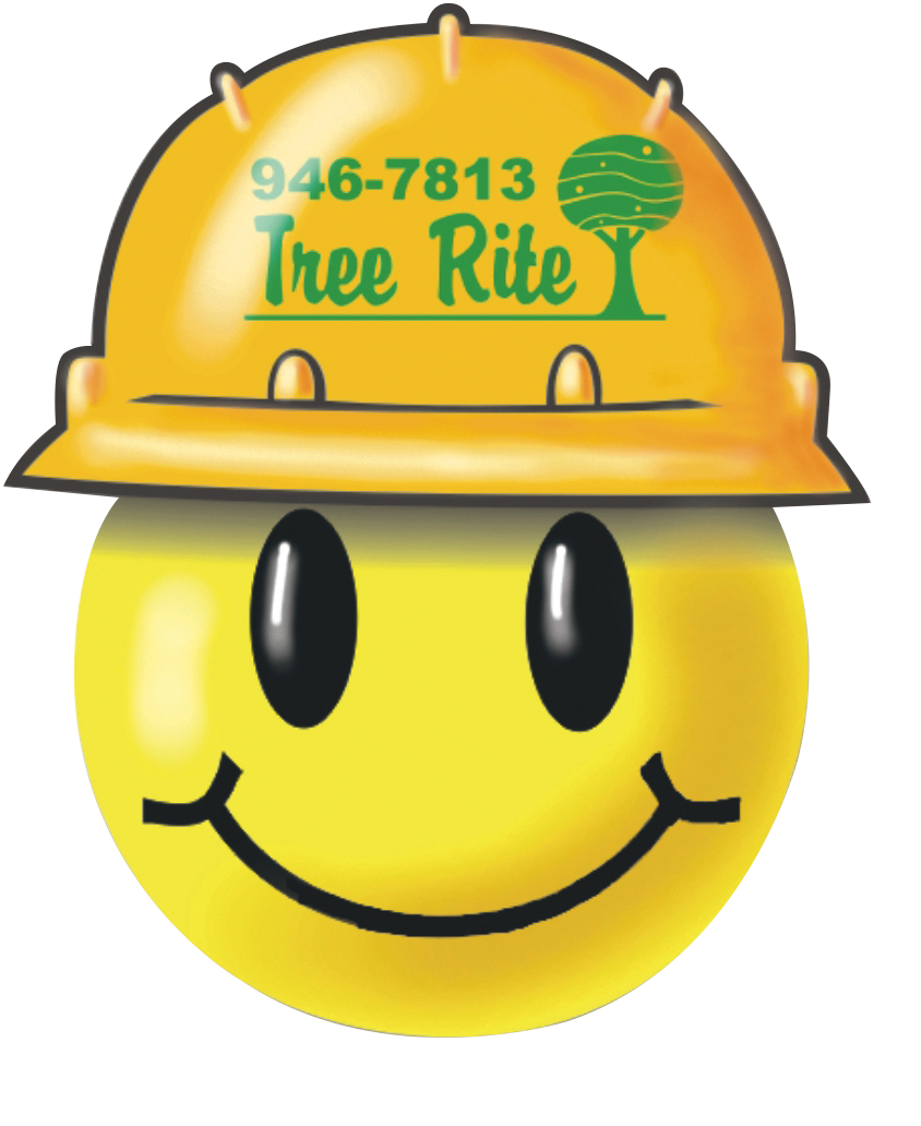 Logo for Tree Rite Arborists