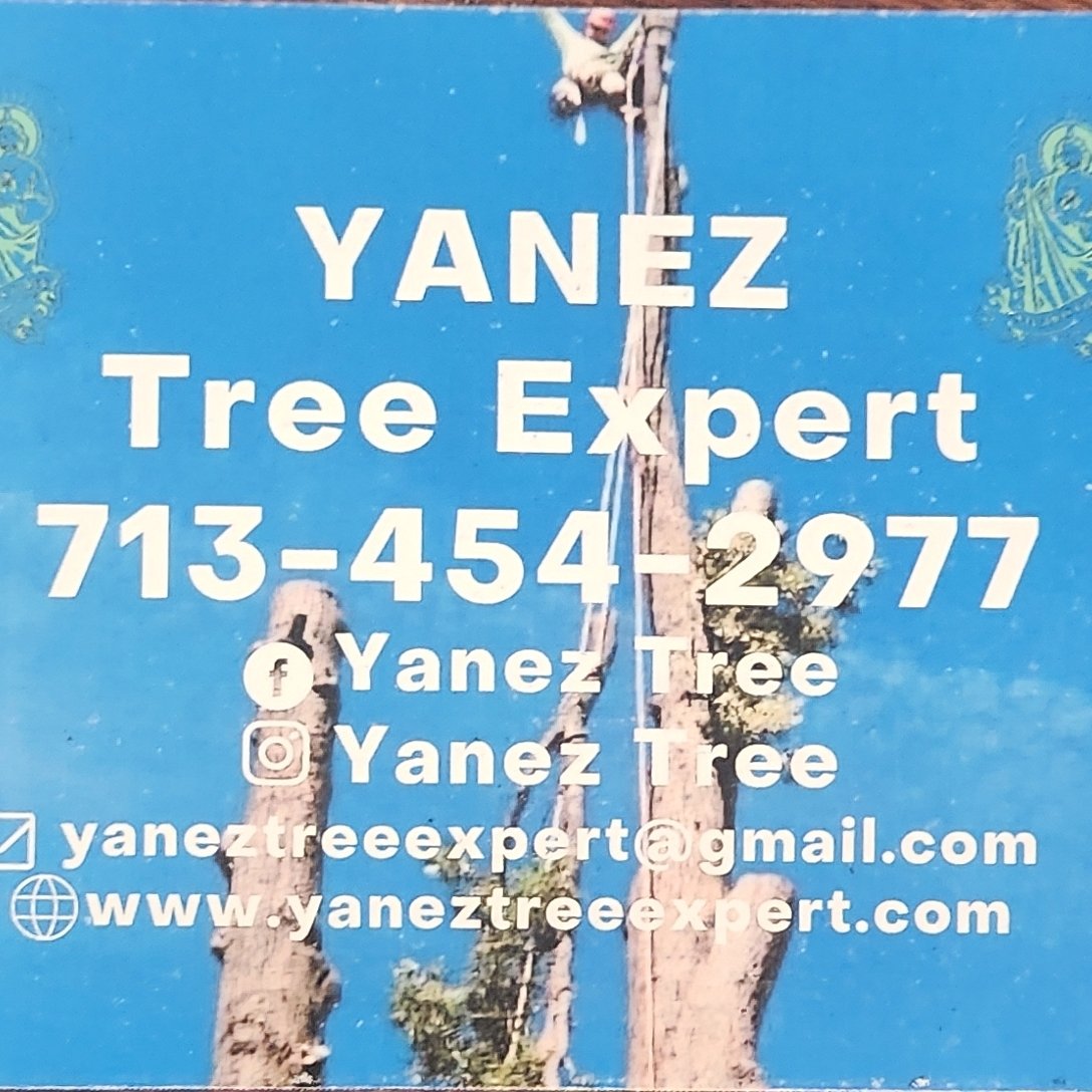 Avatar for Yanez Tree Expert