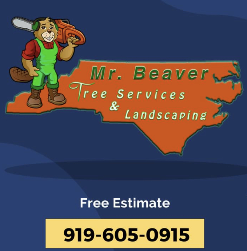 Avatar for Mr. Beaver Tree Service