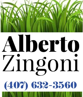 Avatar for Alberto Zingoni