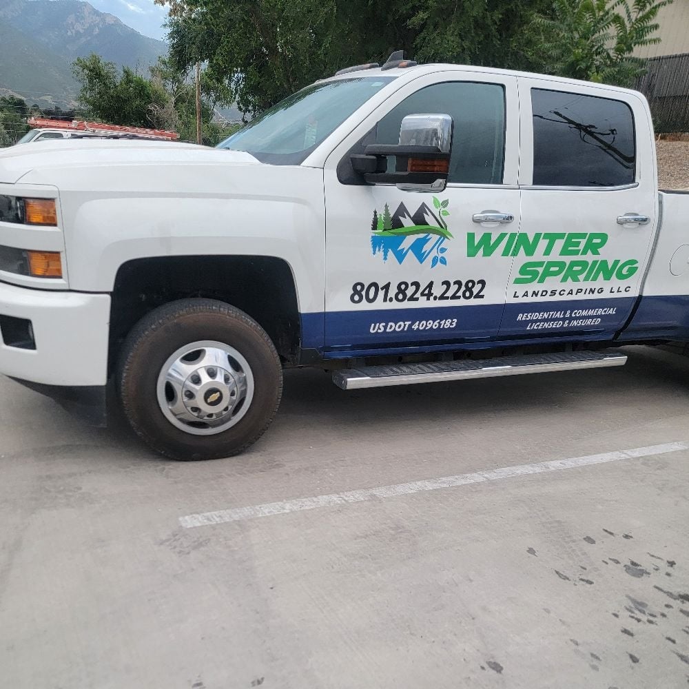 Avatar for Winterspring Landscape