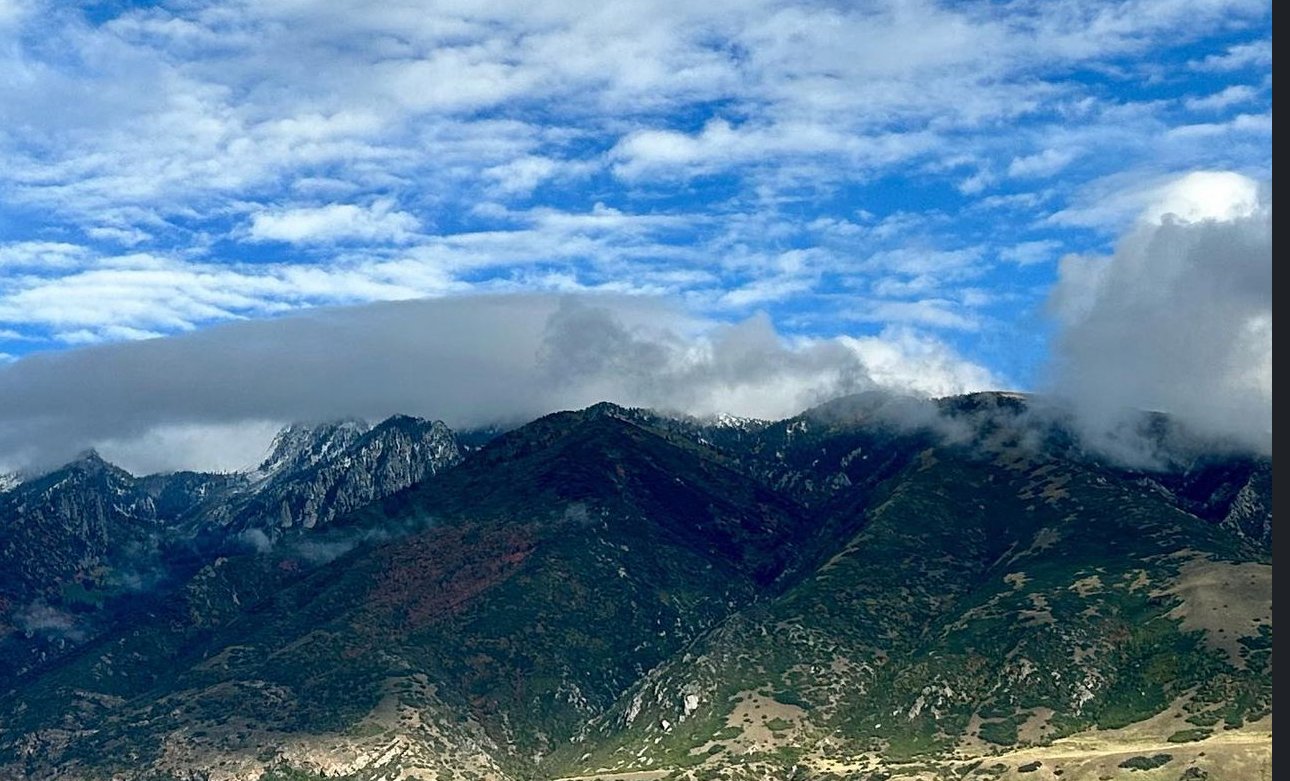 Avatar for Wasatch Vista Painting