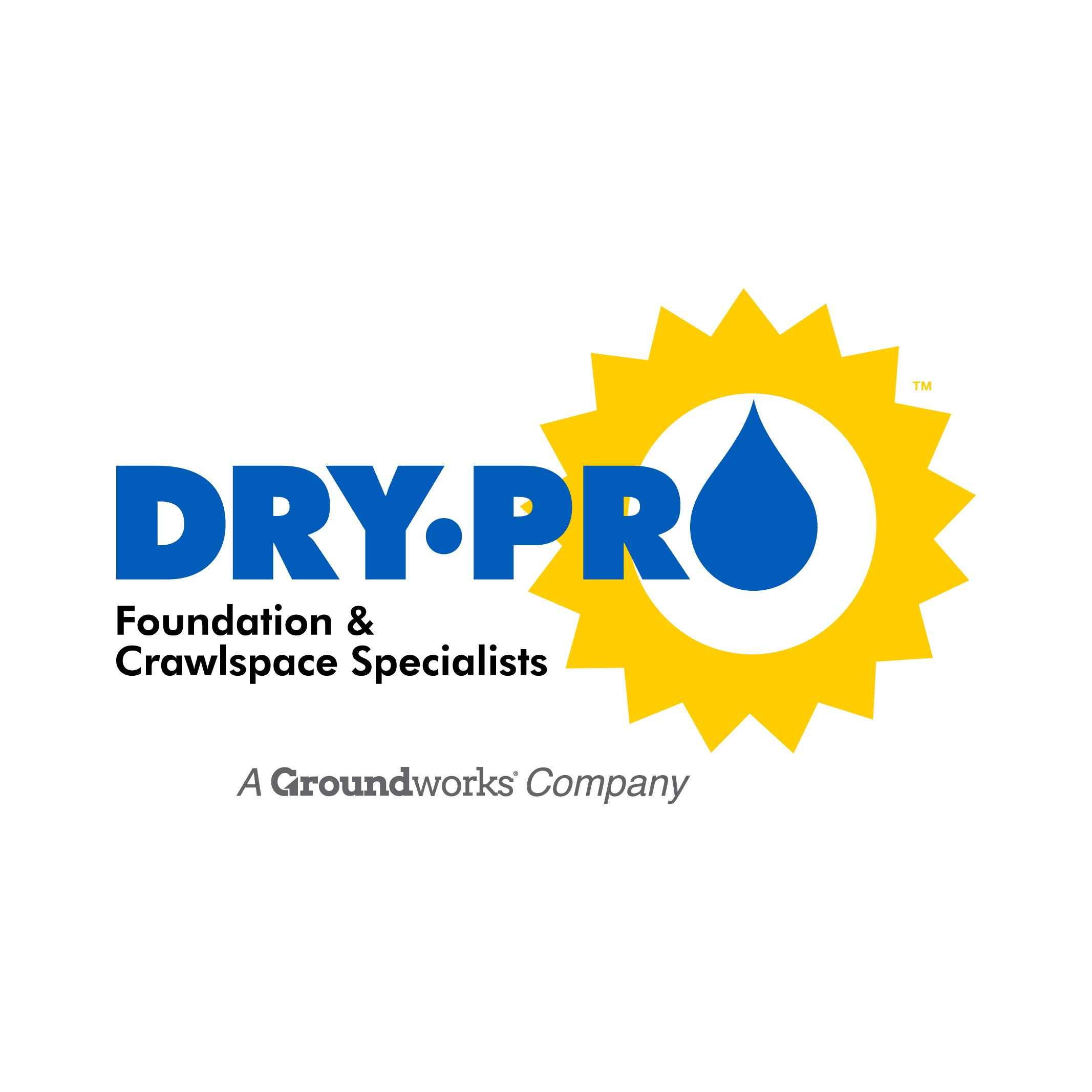 Logo for Dry Pro Foundation and Crawlspace Specialists