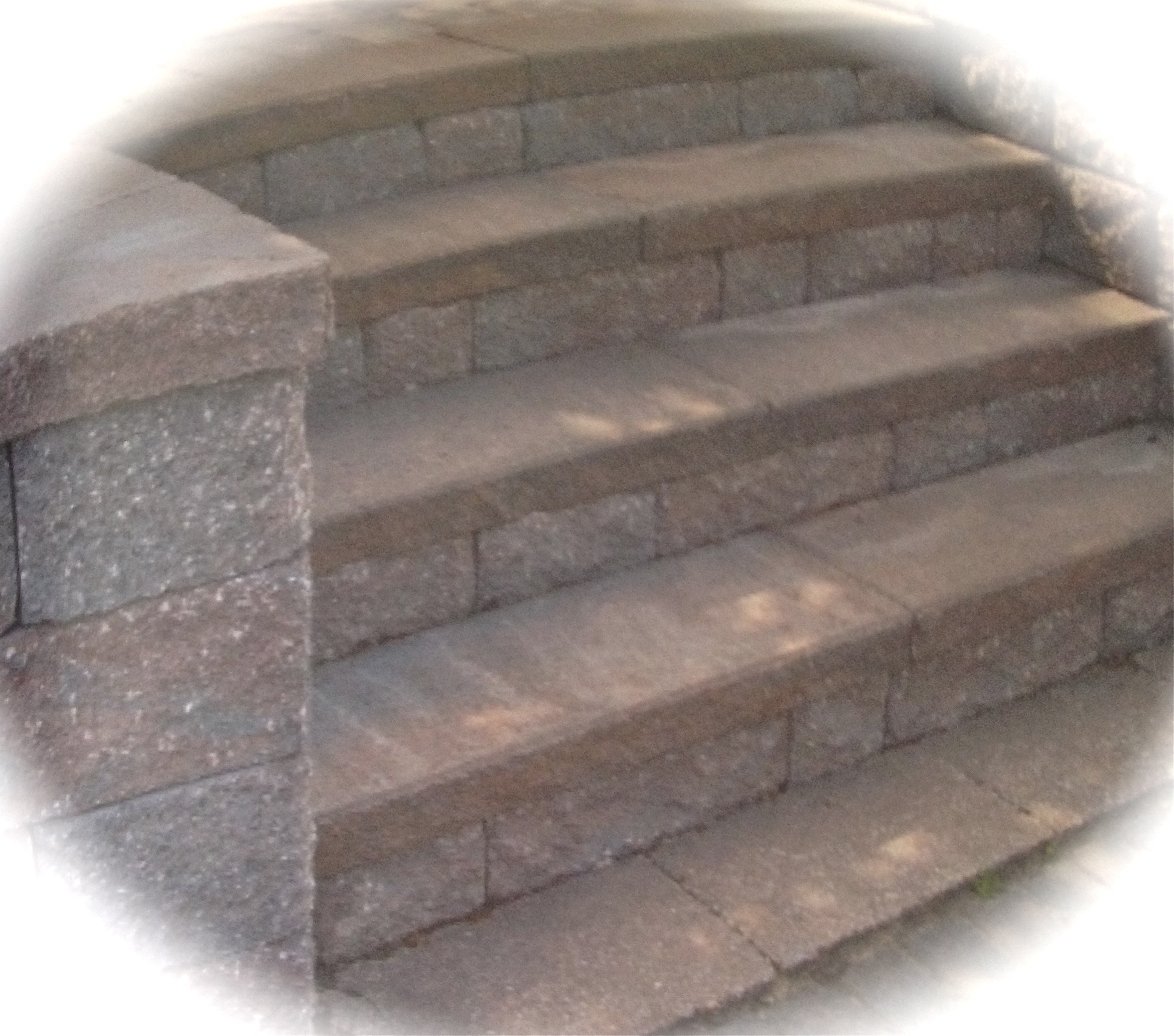 Avatar for Diphillipo's Landscaping