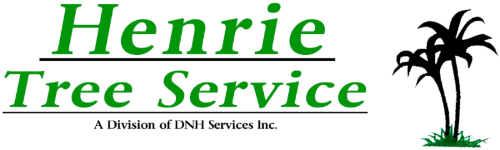 Avatar for Nevada Tree Service