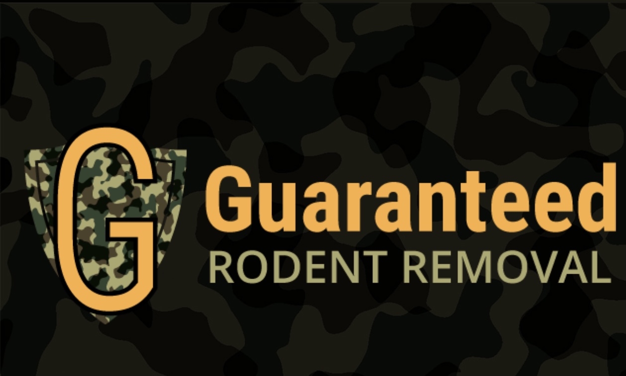 Avatar for Guaranteed Rodent Removal Services