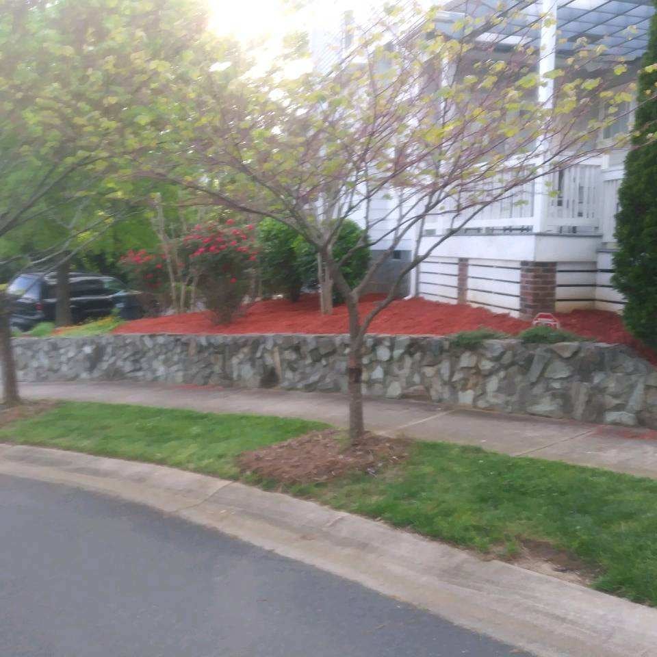 Avatar for AM cutts and property services