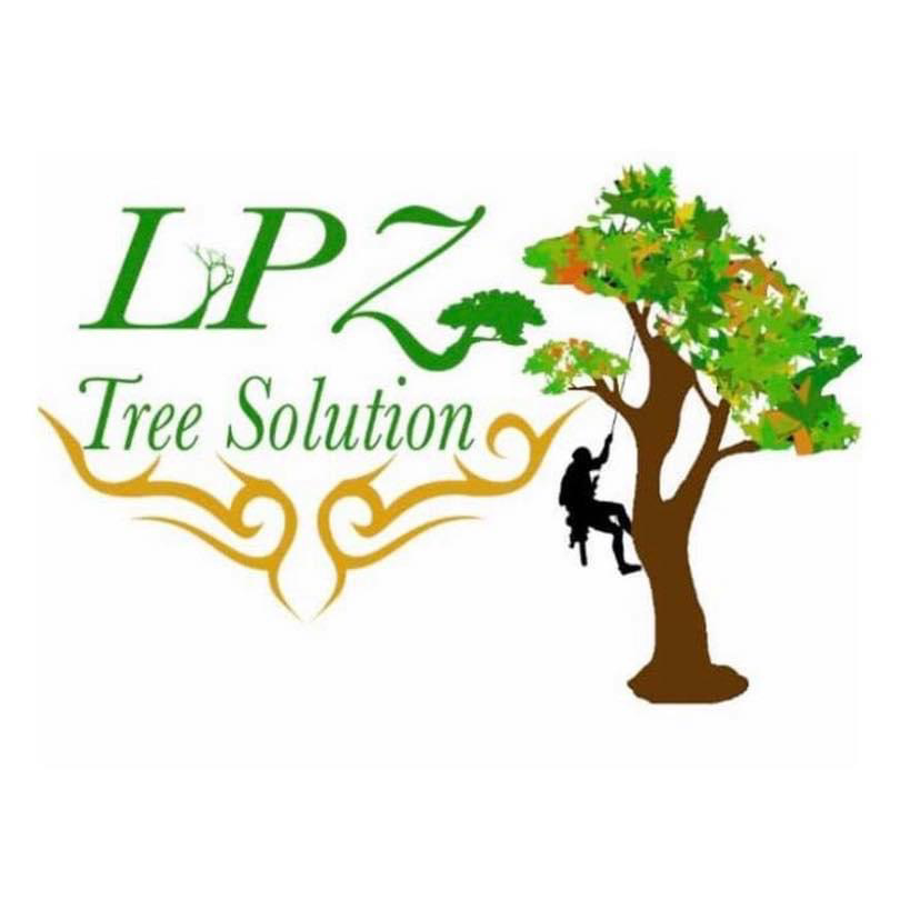 Avatar for LPZ Tree Solution