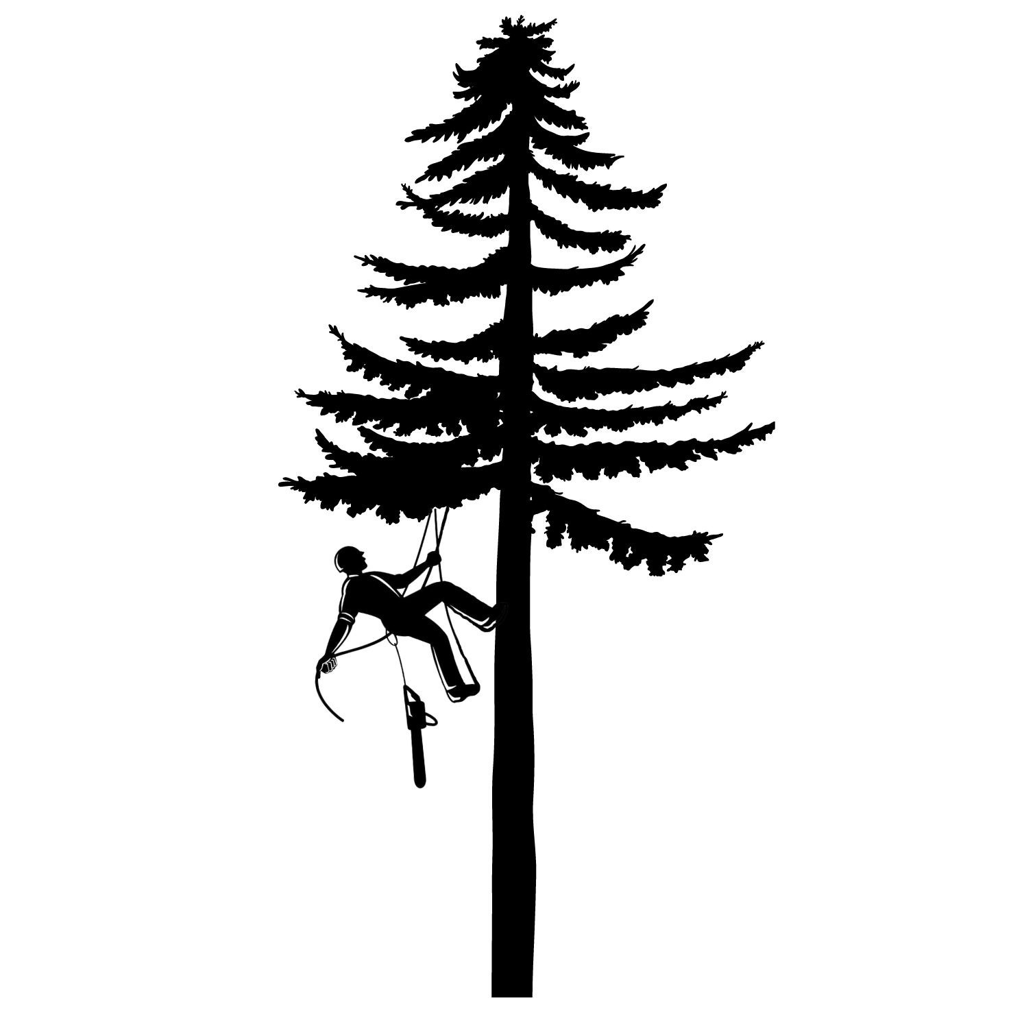 Avatar for A&T's Tree and Landscape Service LLC