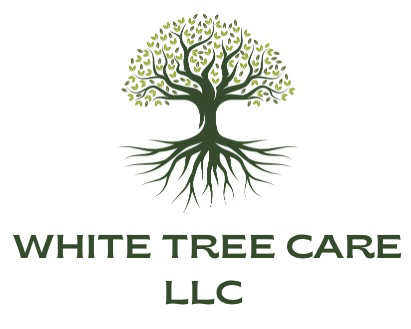 Avatar for White Tree Care LLC
