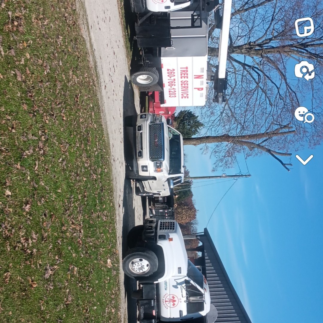 Avatar for NP Tree Service