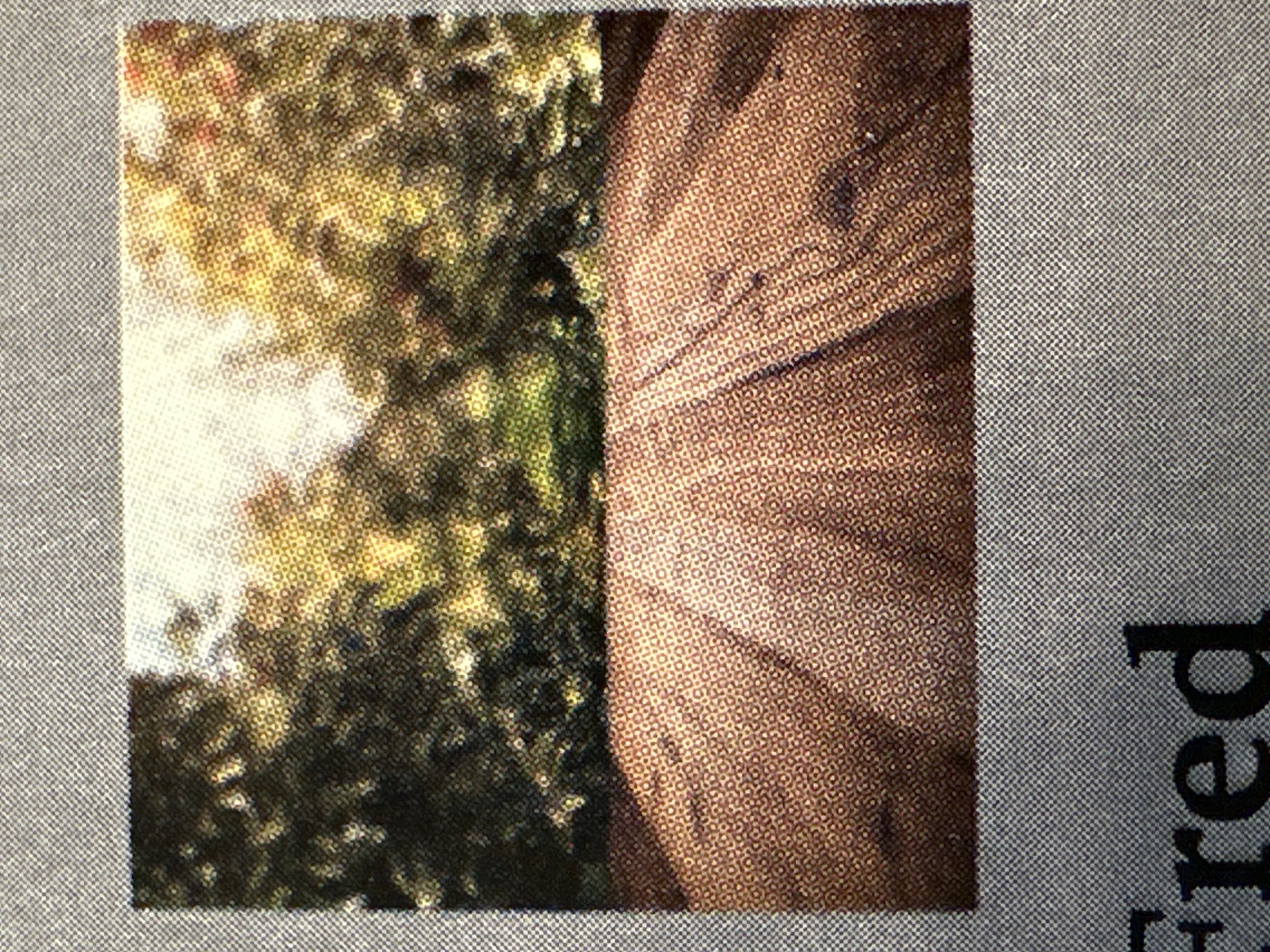 Avatar for Lil Decks Big Decks